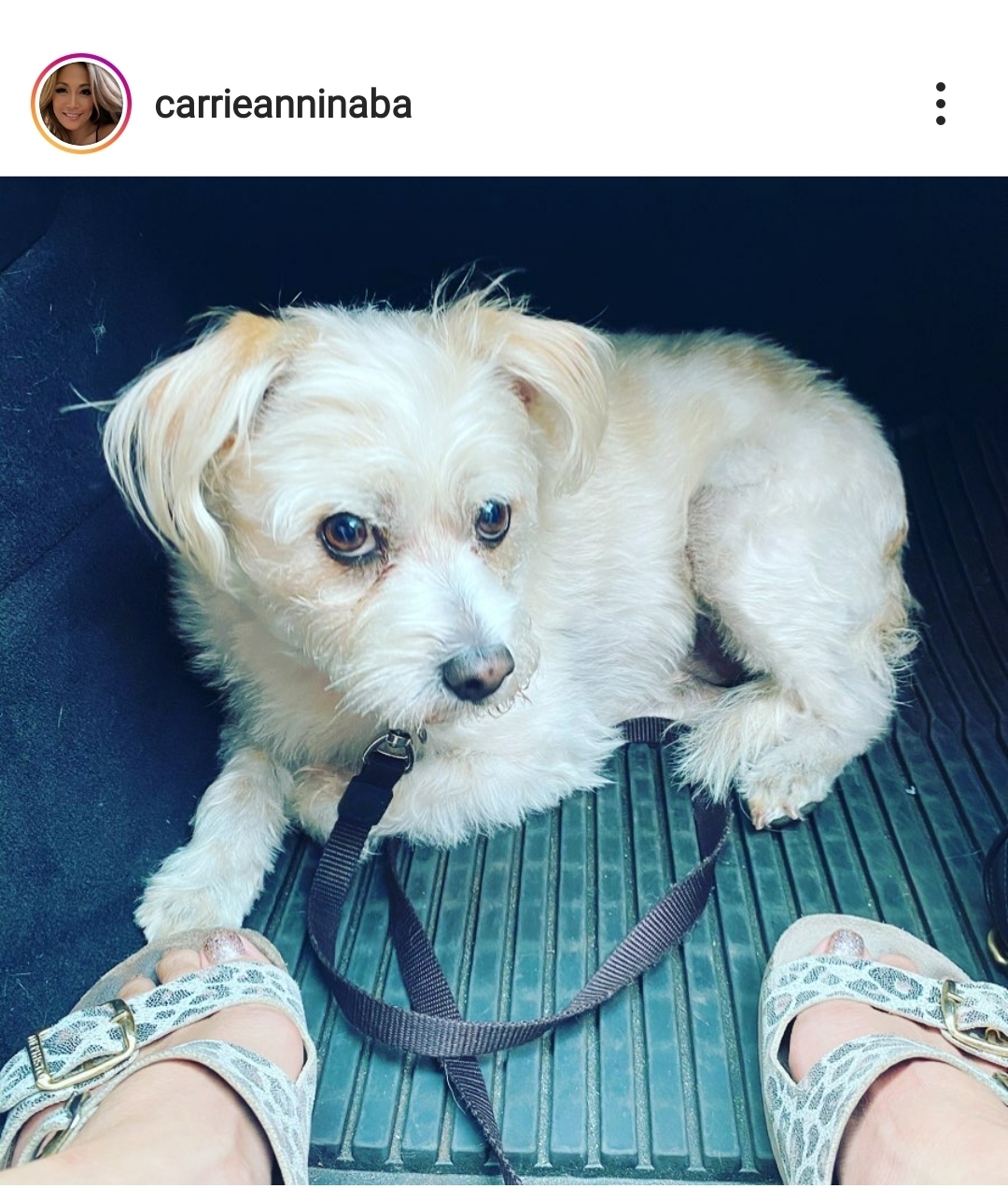 Carrie Ann Inaba Feet