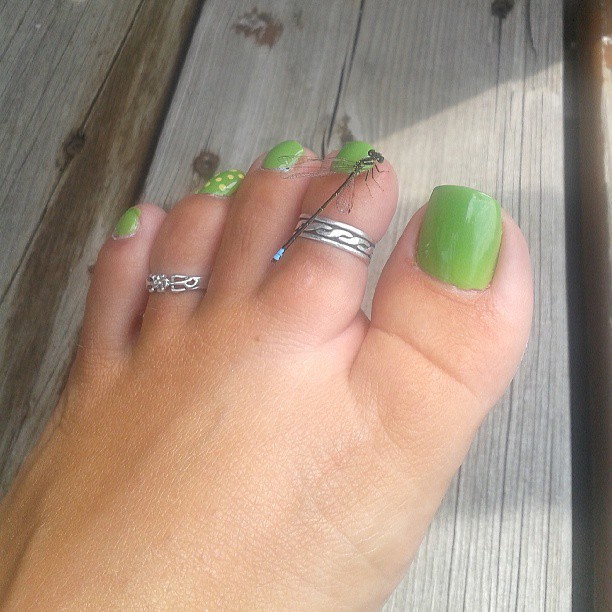 Dragonfly Came To Visit My Green Toes Fee