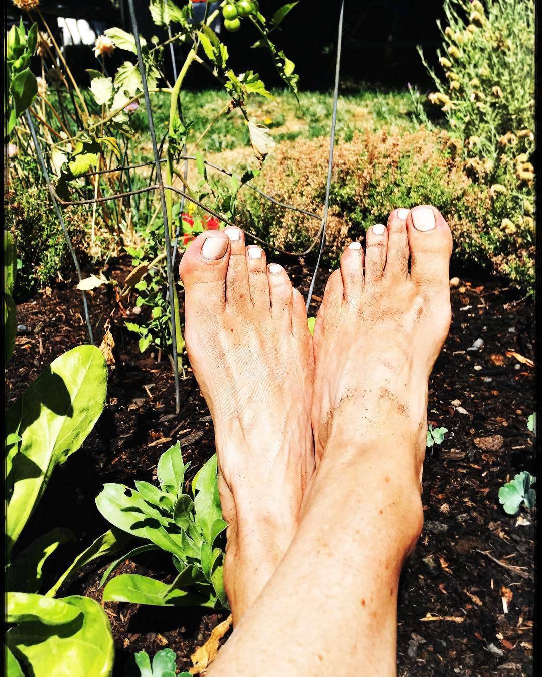 Kim Rhodes Feet Toes Footfetis