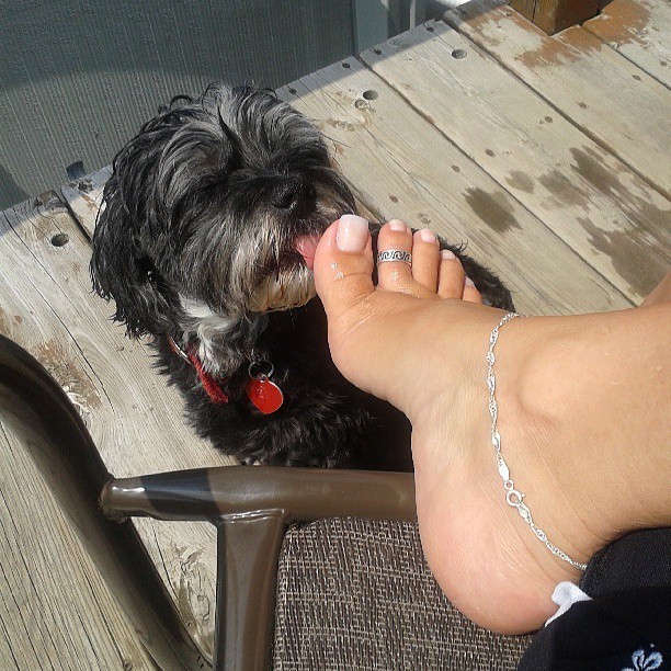 My Little Man Likes Licking My Toes Fee