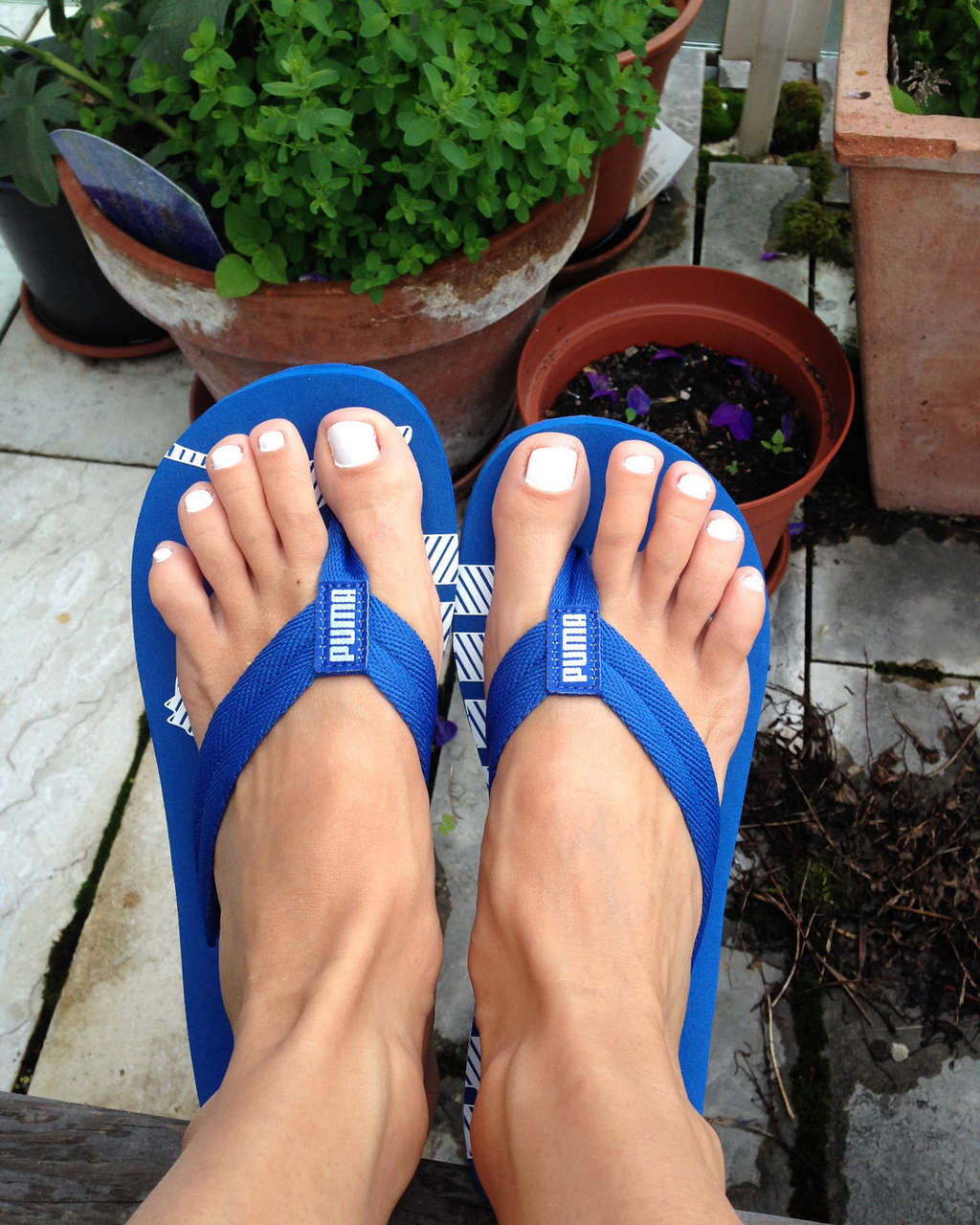 New Blue Flip Flops The Comfiest Thanks To Fee