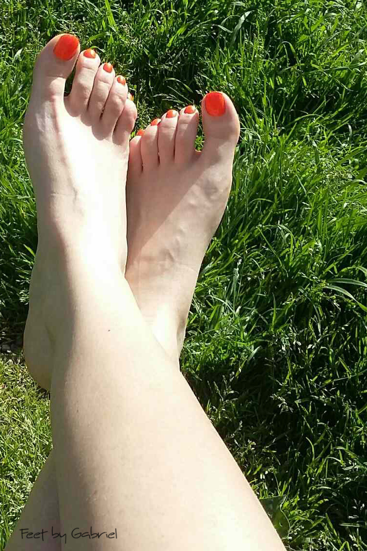 Orange Grass And Sunny Day 2 Fee