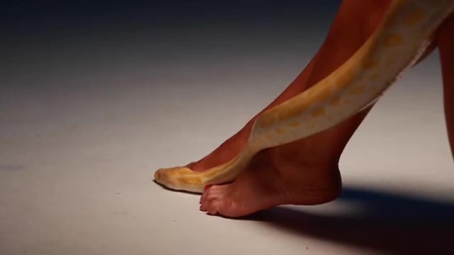 Tina Karol Feet