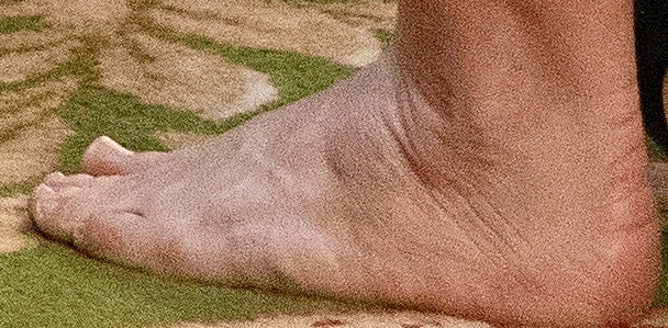 Chrystia Freeland Feet