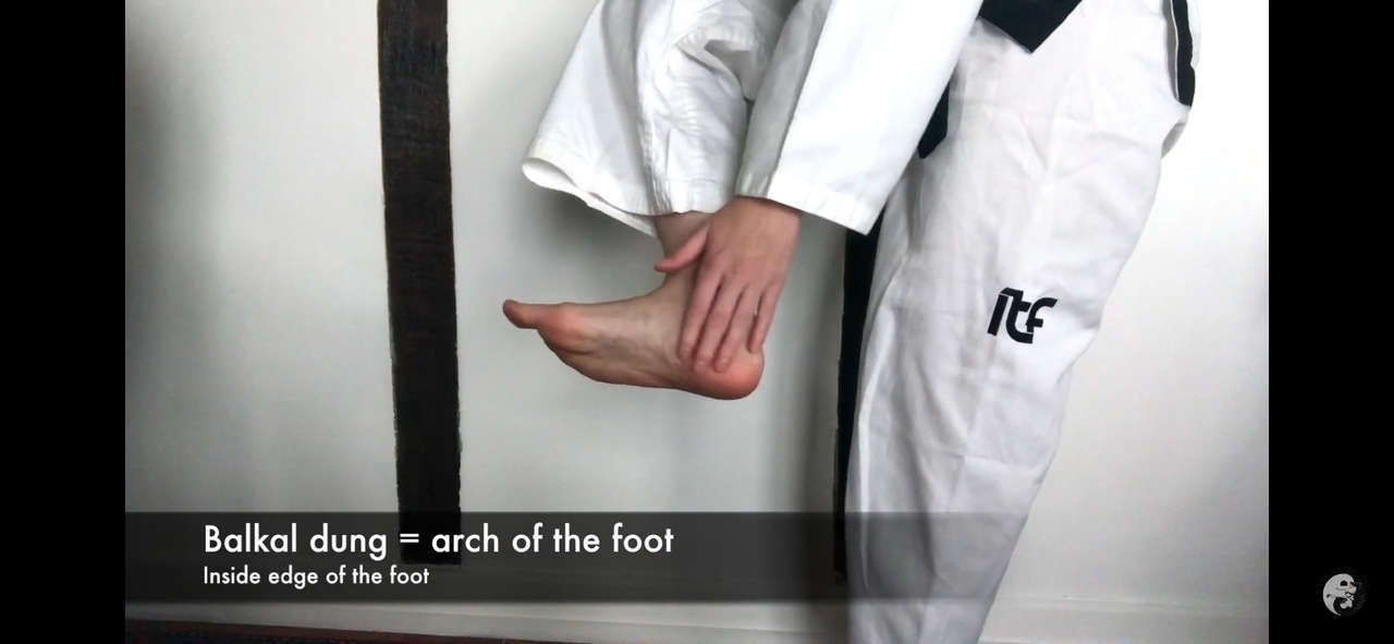 Nora Csiszar Feet