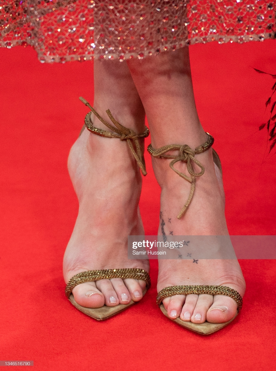 Dakota Johnson Feet