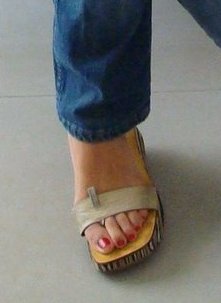 Paula Trapani Feet