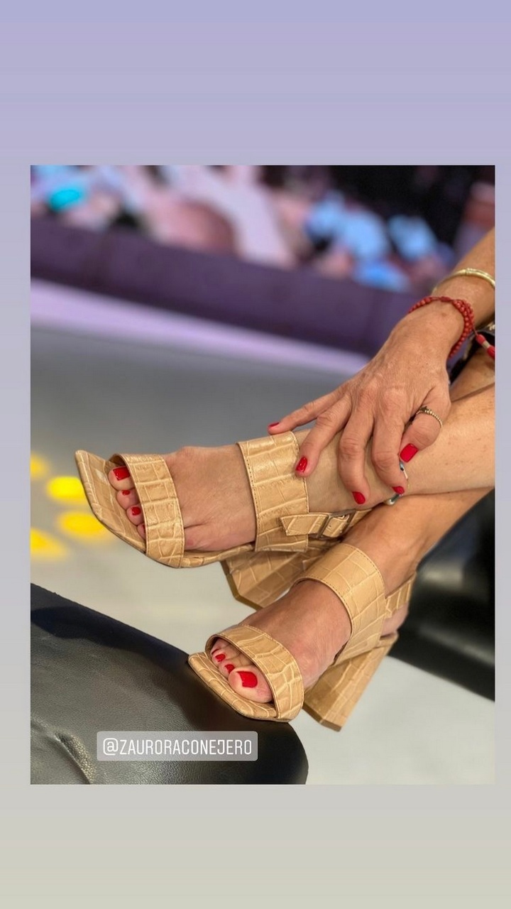 Diana Bolocco Feet