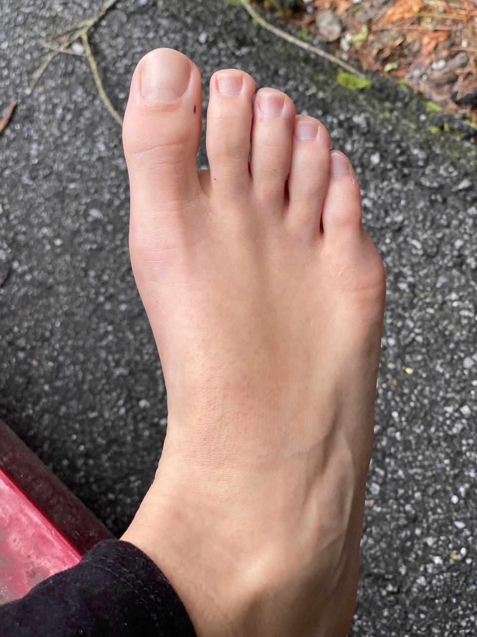 Ash Blank Toes
