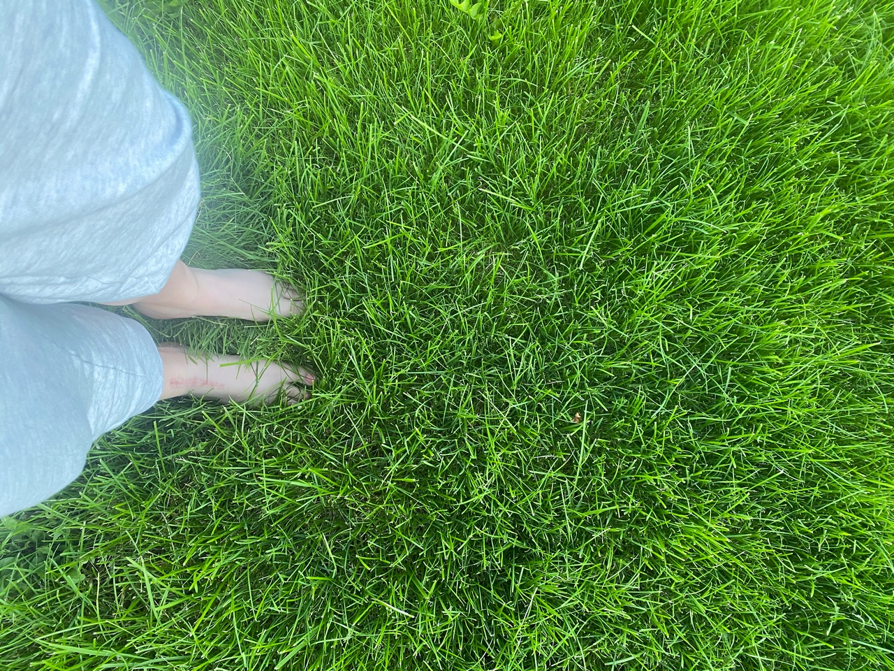 Fabfeet A Walk In The Grass