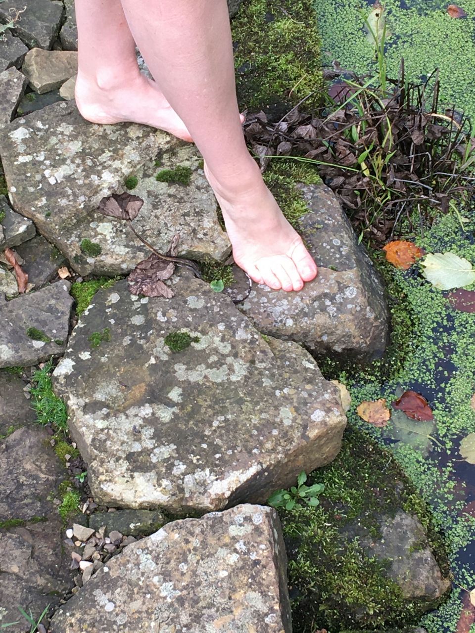 Lespieds Barefoot Outside In The Uk