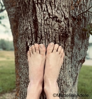 Madelineadele Letting My Bare Feet Hug A Tree