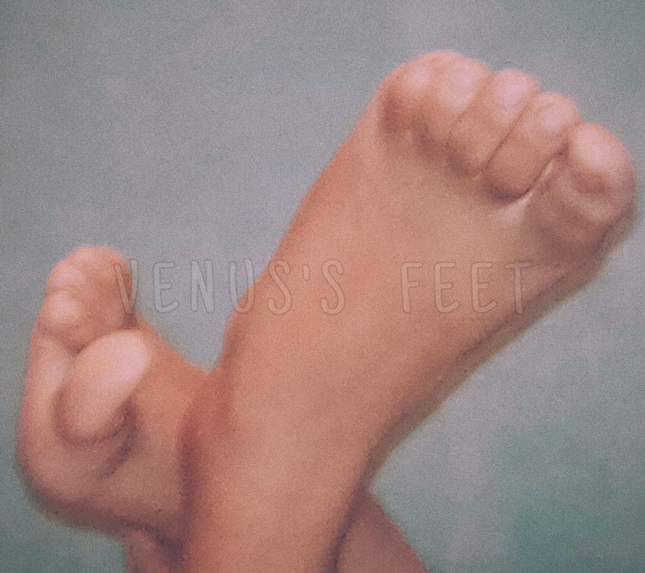 Venus S Feet Debut