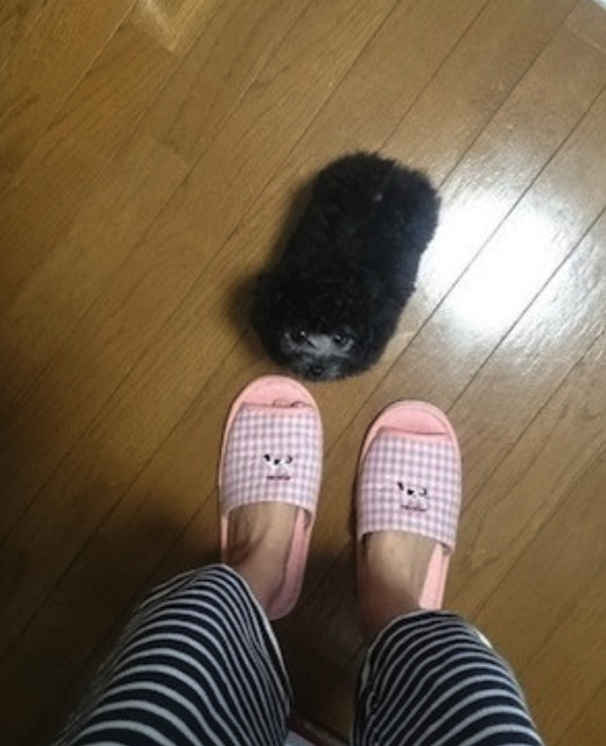 Sakura Tange Feet