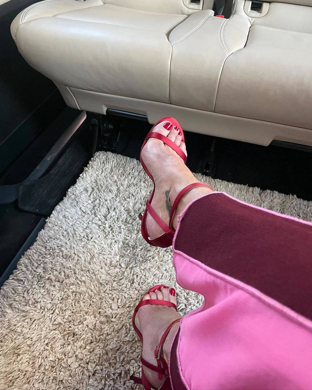 Gillian Anderson Feet