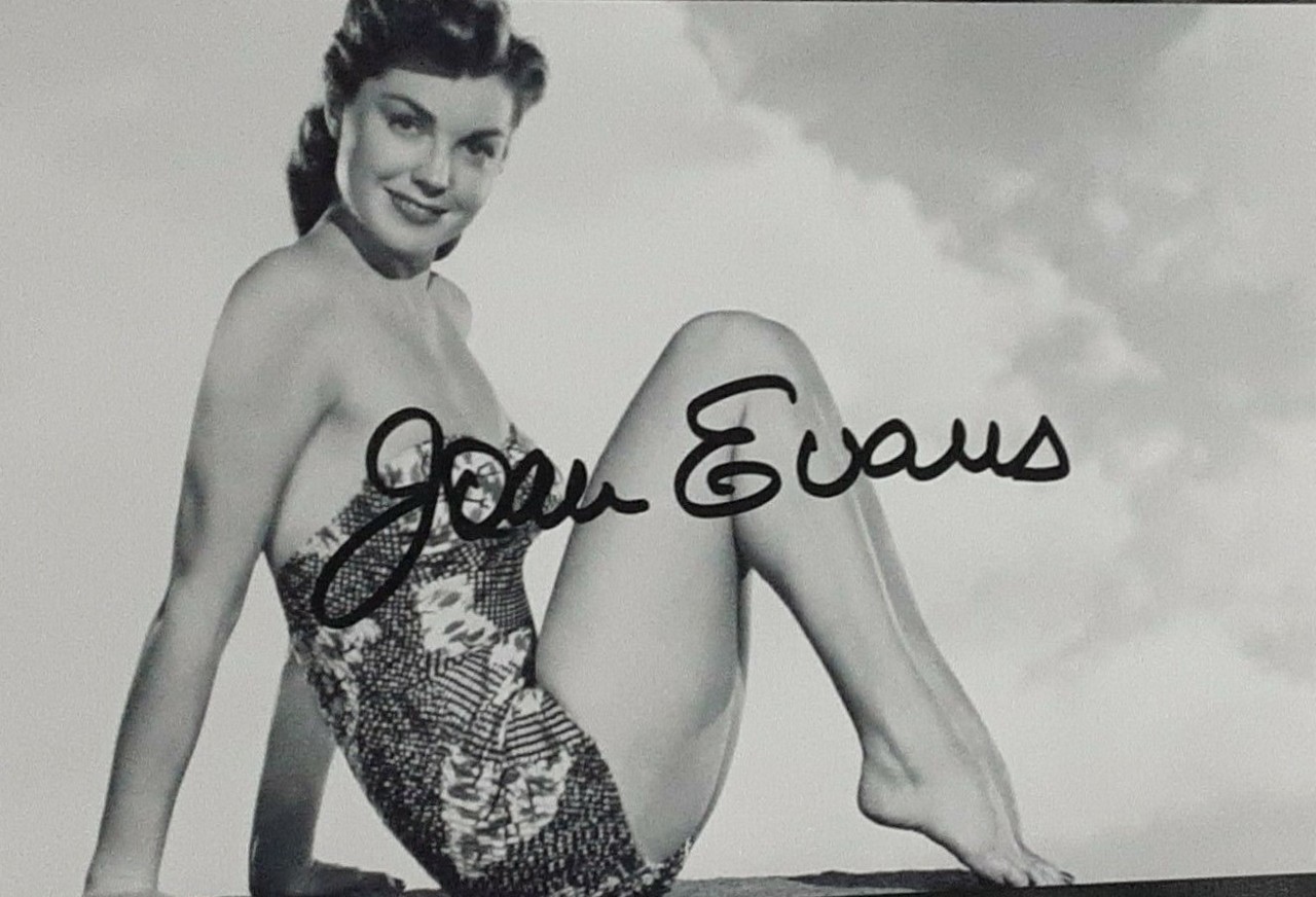 Joan Evans Fee