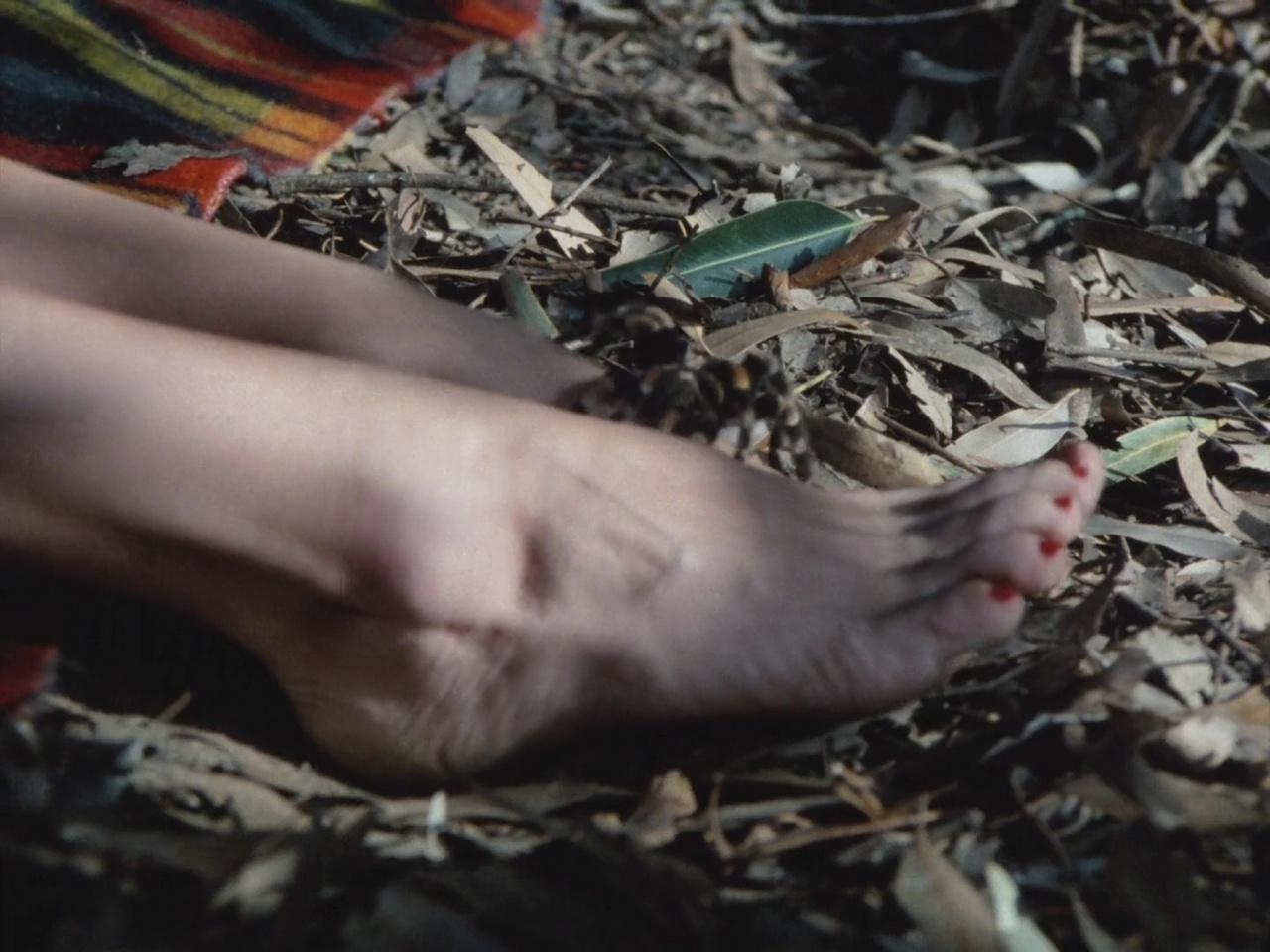 Penelope Windust Feet
