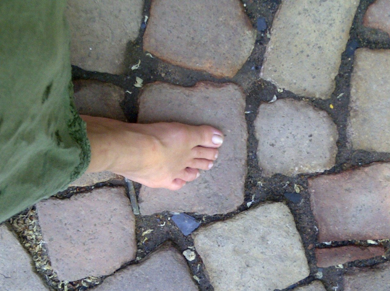 Susan Cowsill Feet