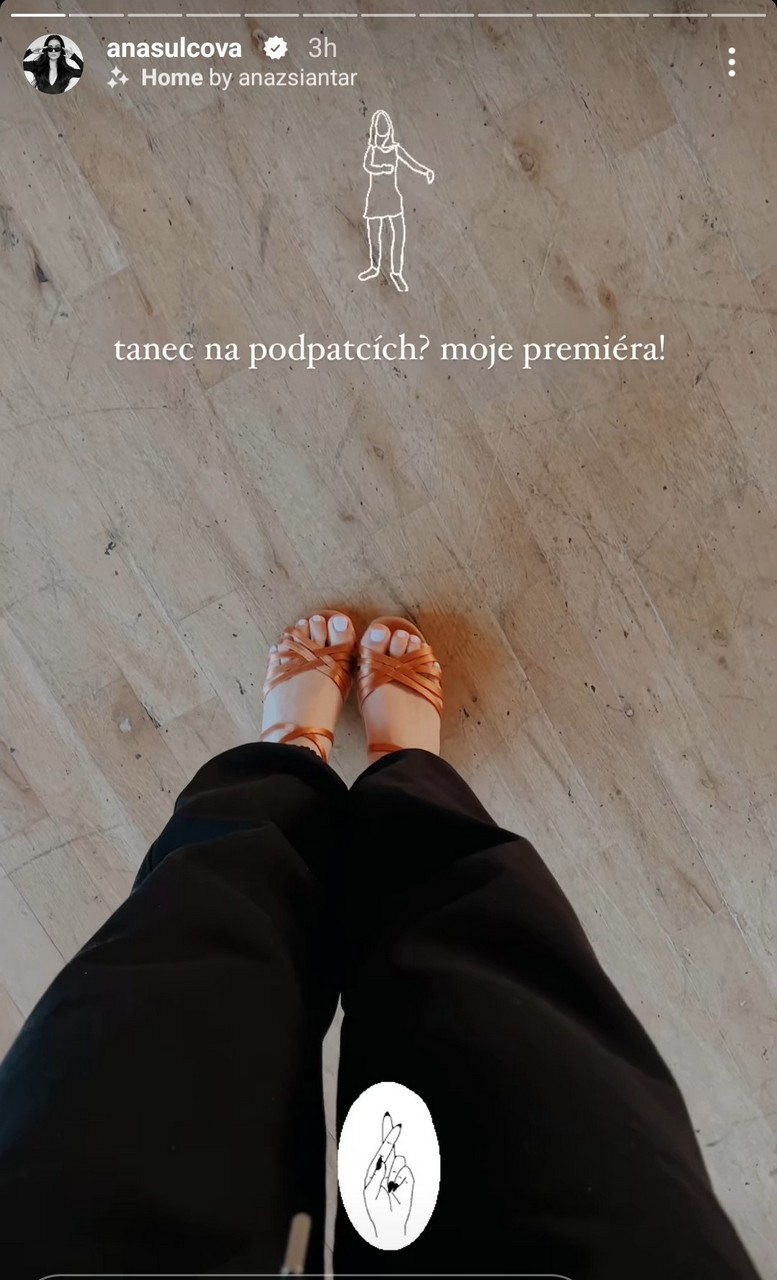 Anna Sulcova Feet