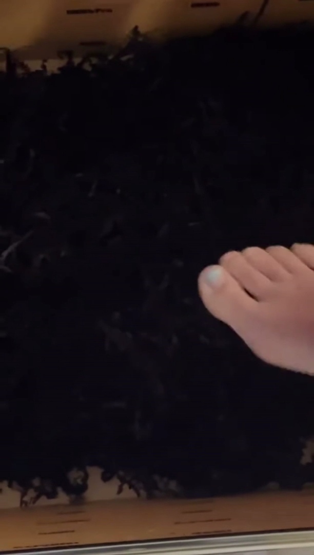 Isabela Merced Feet