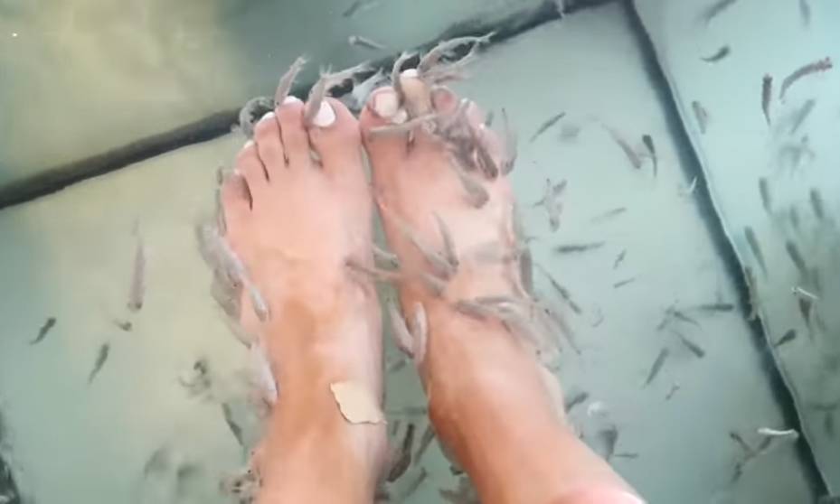 Paula Galindo Suarez Feet