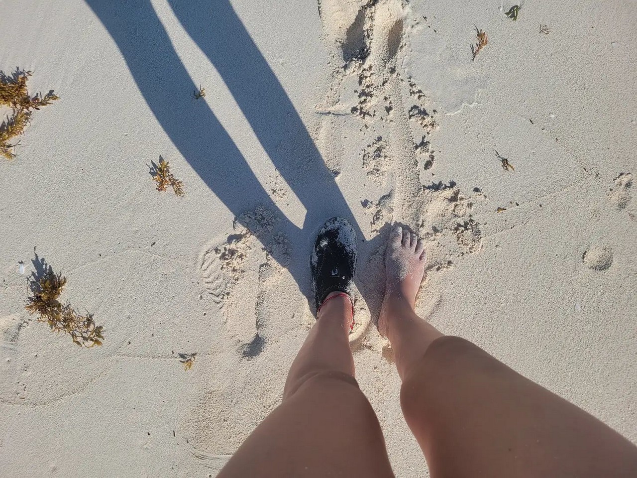 Daniela Bueno Feet