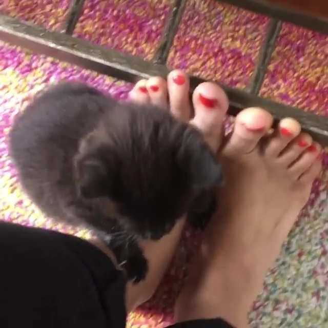 Rekha Shankar Feet