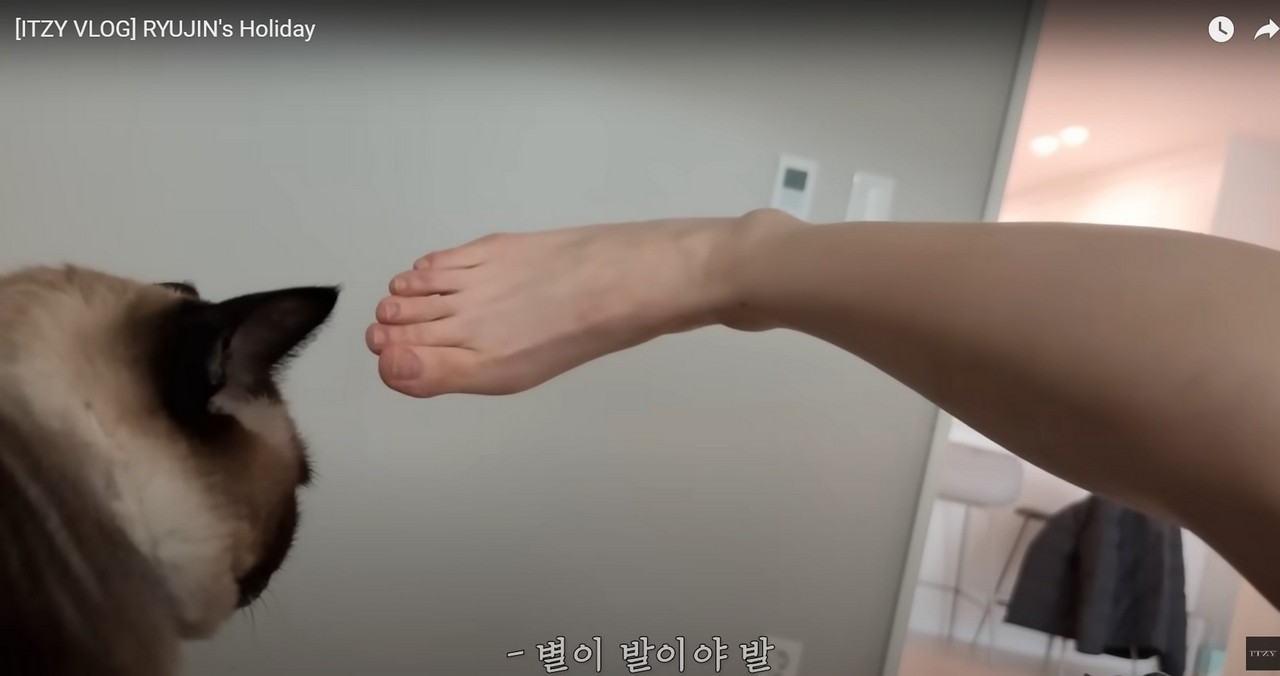 Ryu Jin Shin Feet