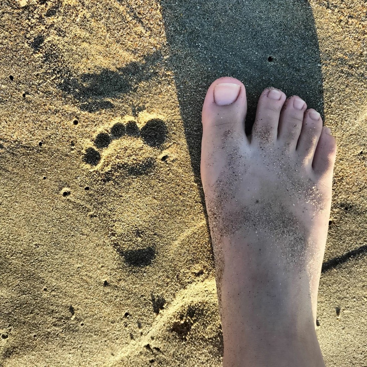 Alicia Velez Feet