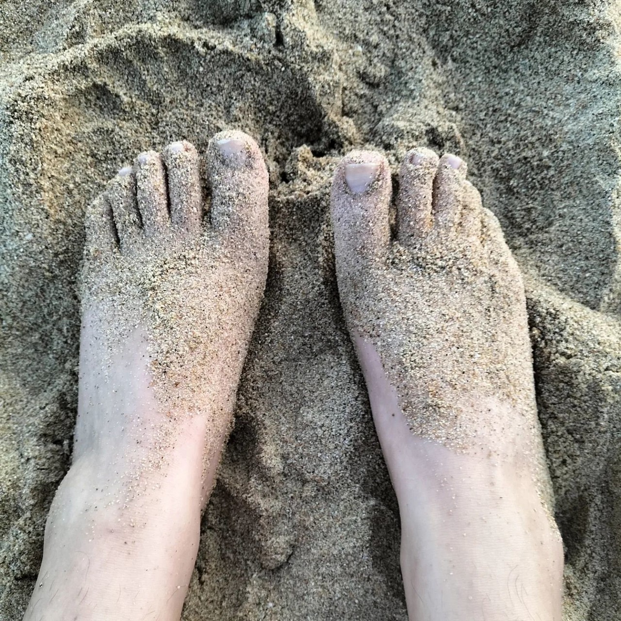 Alicia Velez Feet