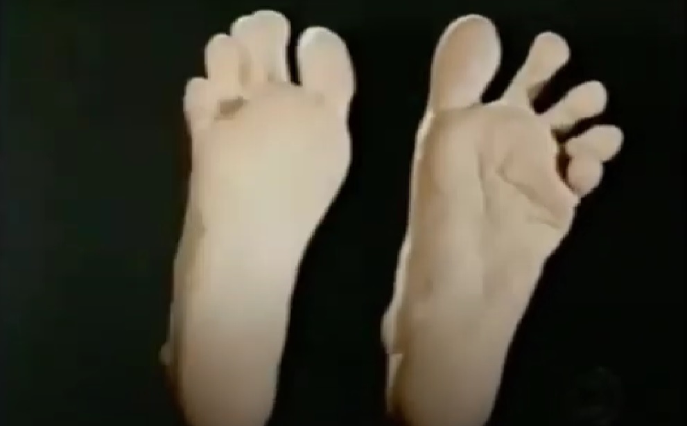 Denise Stoklos Feet