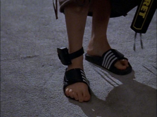 Lisa Rotondi Feet