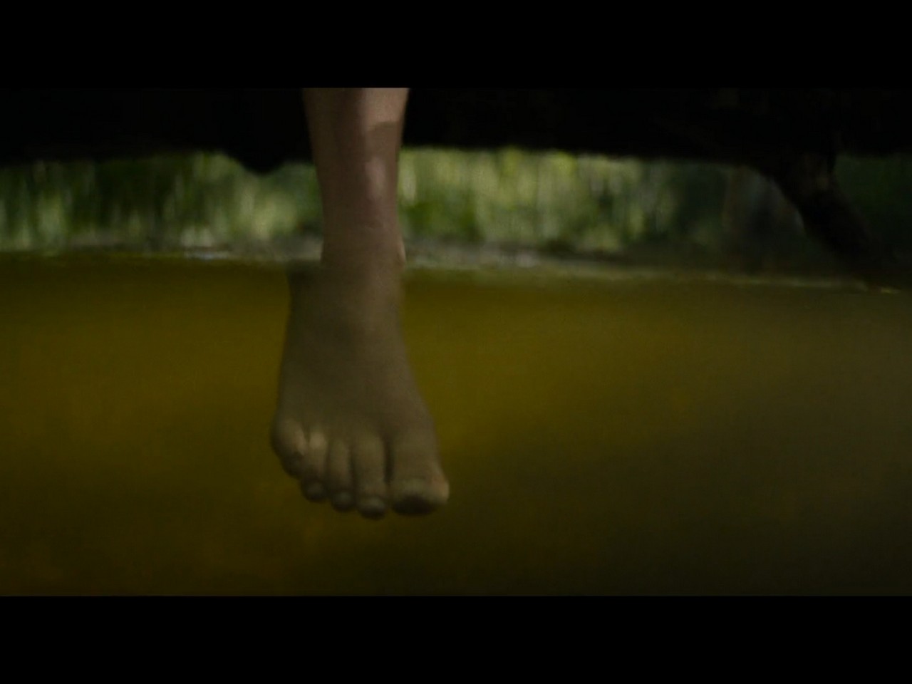 Stefanie Cohen's Feet << wikiFeet