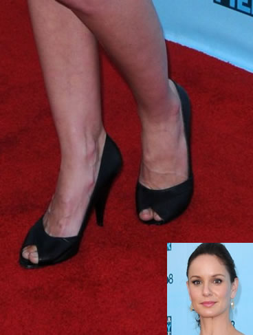 Sarah Wayne Callies Legs