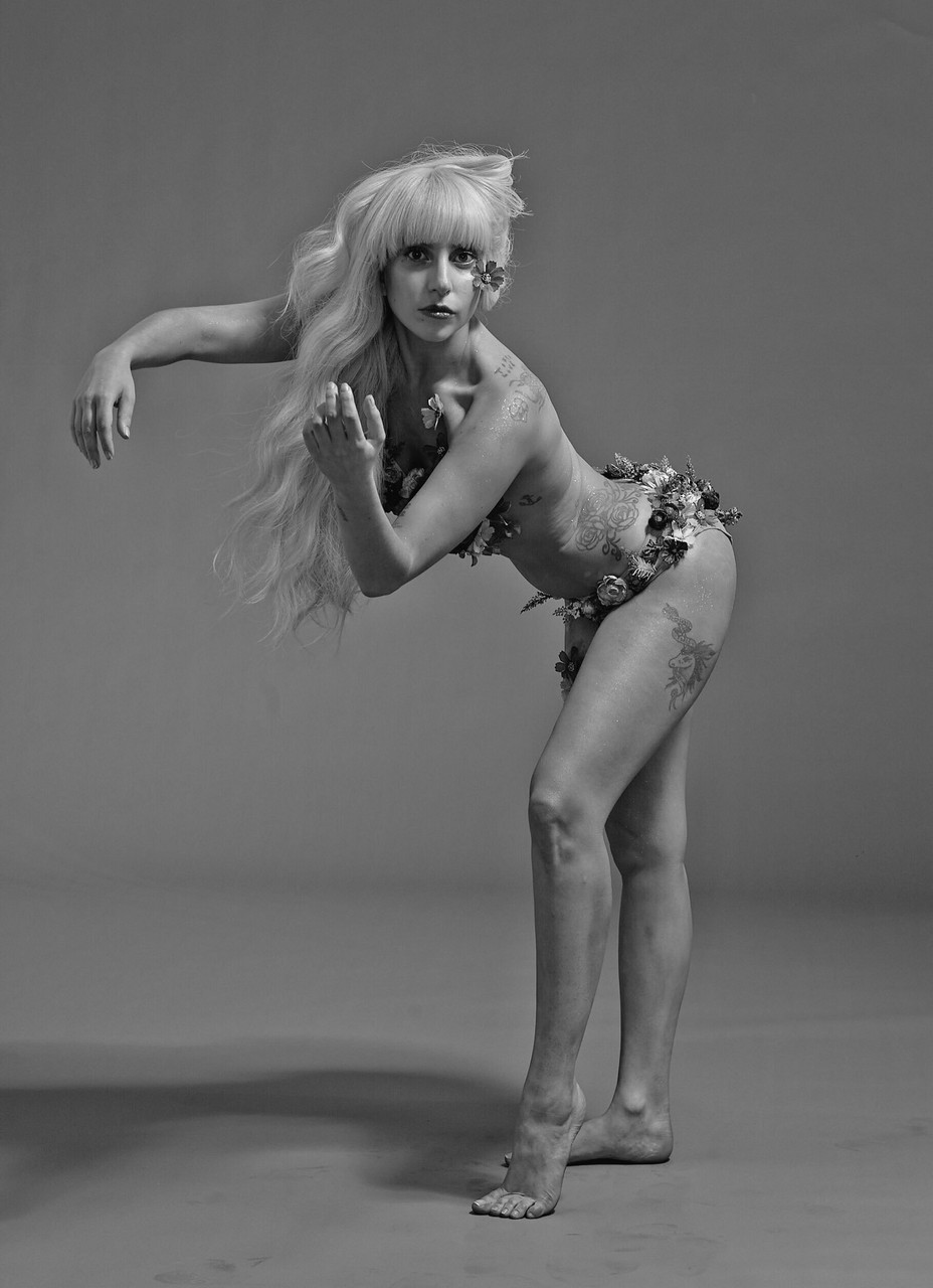 Lady Gaga Wikifee
