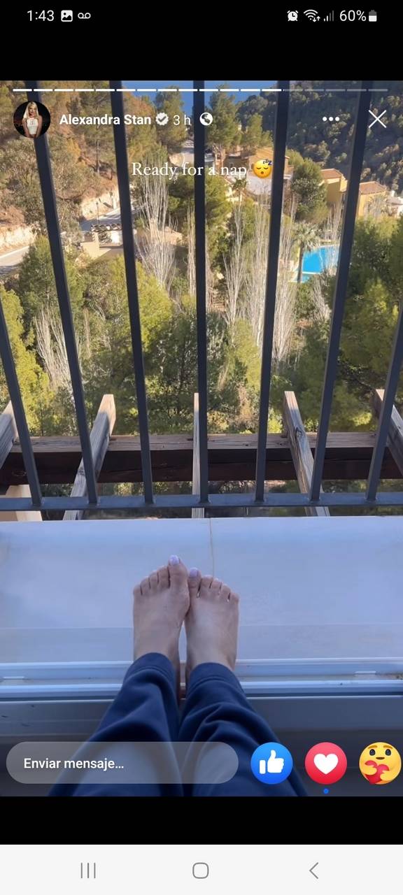 Alexandra Stan Feet