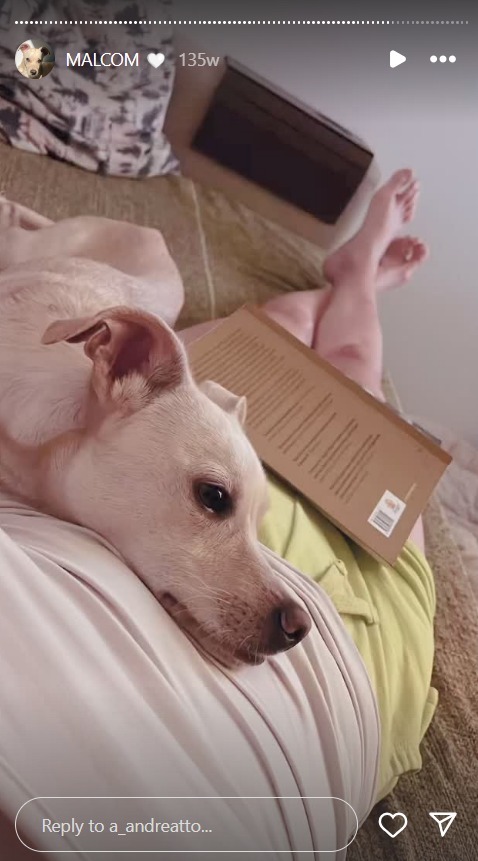 Andressa Andreatto Feet