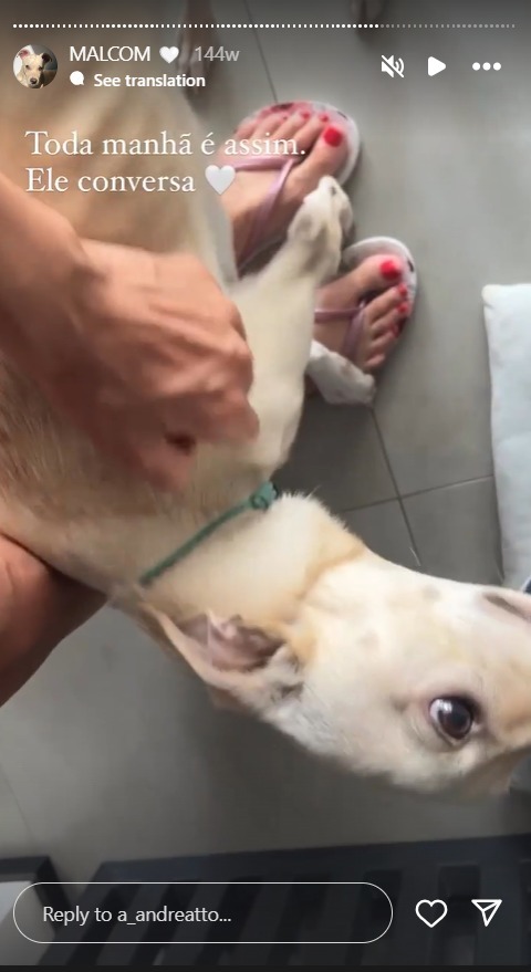 Andressa Andreatto Feet