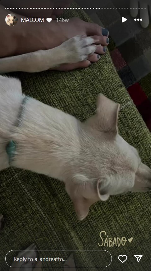 Andressa Andreatto Feet