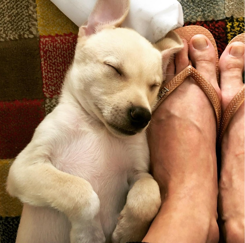 Andressa Andreatto Feet