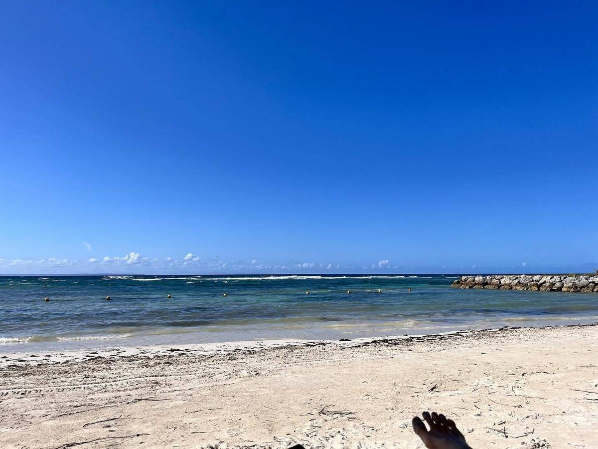 Cl Mence Thioly Feet