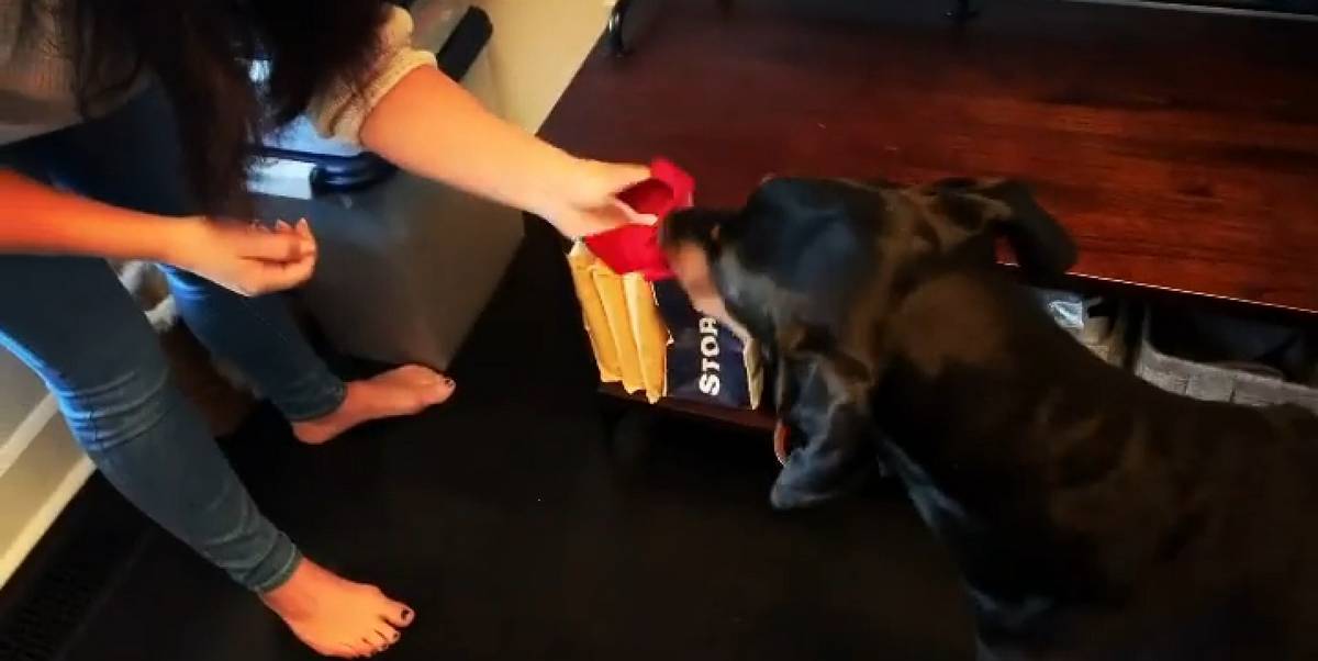 Emily Compagno Feet