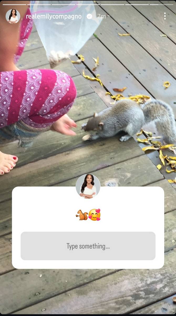 Emily Compagno Feet