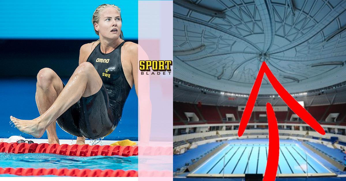 Michelle Coleman Feet