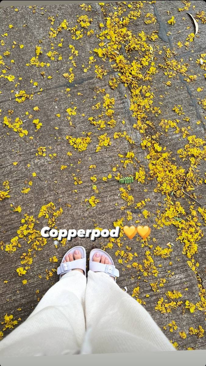 Shivani Raghuvanshi Feet