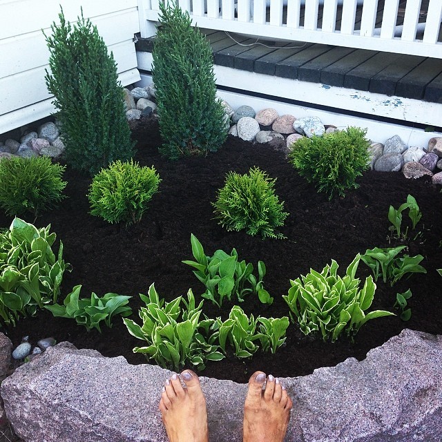 Suvi Terasniska Feet