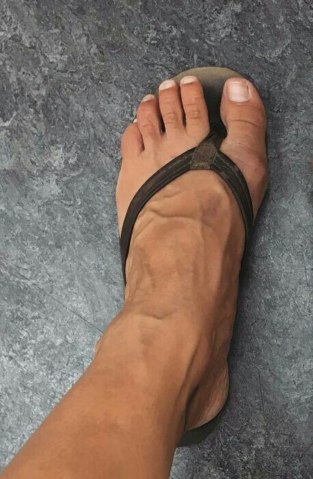 Briana Venskus Feet