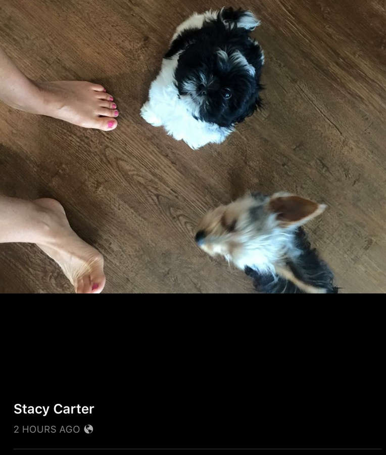 Stacy Carter Feet