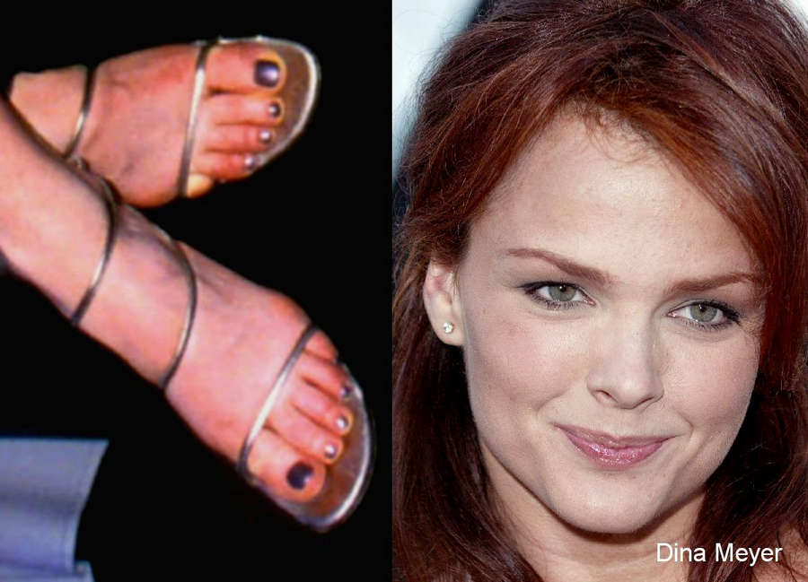 Dina Meyer Feet. 