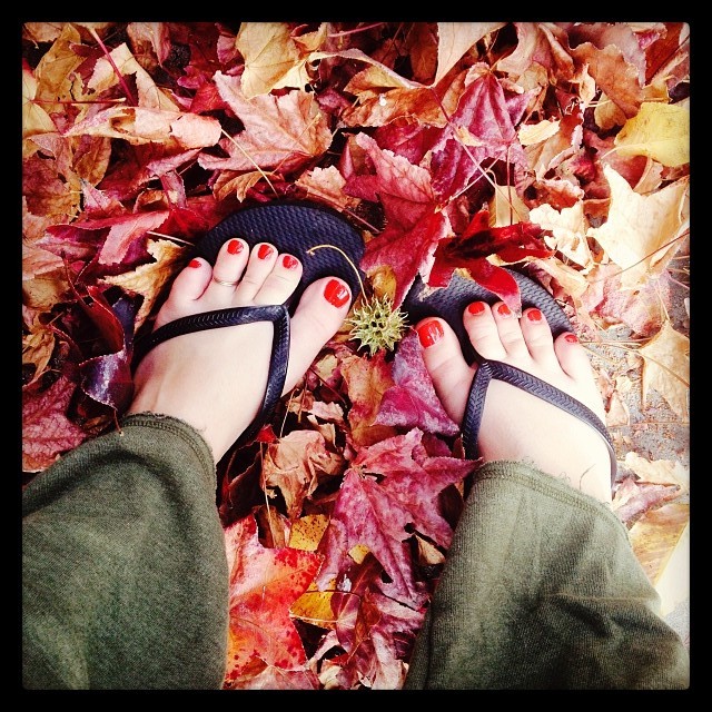 Summer Taylor Feet
